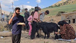 Hope in the Migration of Nomads: The Story of Milking and Water Supply by an Engineer 