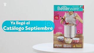 Resumen de Catálogo Betterware Septiembre 2024