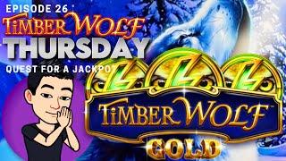 TIMBER WOLF THURSDAY!  [EP 26] QUEST FOR A JACKPOT! TIMBER WOLF GOLD (Aristocrat Gaming)