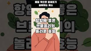 항암에 좋은 브로콜리의 놀라운 효능 3가지 #브로콜리효능 #항암음식 #설포라판 #암예방 #해독식품 #건강정보