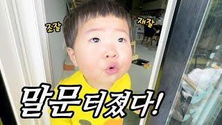 말하기 시작한거야? (자리돔 축제, 제주도 애견동반 온수풀 펜션다녀왔어요)