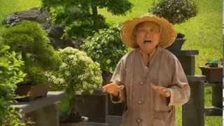 The Garden Gurus - Becoming a Bonsai Master