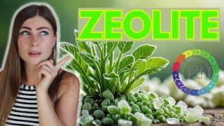 Zeolite Health Benefits [Heavy Metal Detox, Weight Loss & More]