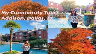 #Communitytour #HelloRiya #NRIVlogger My Community Tour - Dallas,Texas #bengalivloggerinusa