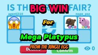 BIG WIN For Mega Platypus From The Jungle Egg! Adopt me trading