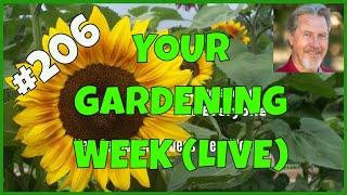 Garden Watering Tips (Q&A)