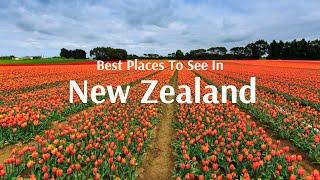 Travel to New Zealand with Flamingo Transworld