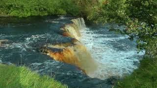 ENGLAND Swaledale (Yorkshire Dales National Park)