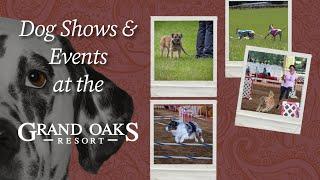 Dog Shows & events at the Grand Oaks Resort