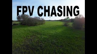 Fpv Beautiful Spot Chasing Friends