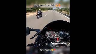  Hayabusa Team Ride #shorts #hayabusa #trending