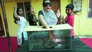 Mystri Aquarium| "தொட்டு பார் " இப்படி பயந்து போன ஒரு challenge வேற இல்லை !! Mrs.Abi Time.