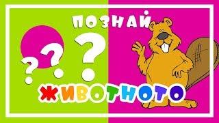 ПОЗНАЙ ЖИВОТНОТО (3) - динозавър , слонче , калинка , мече , пиленце  + още животни...