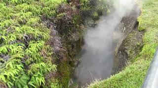 Steam Vents 1
