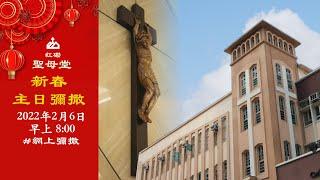 聖母堂｜網上彌撒｜【新春主日彌撒】｜2022.02.06｜早上8:00