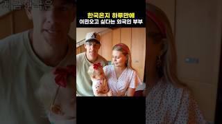 한국여행 하루만에 이민을 생각한 외국인 부부