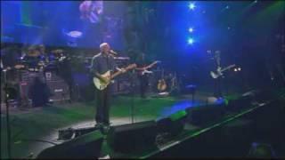 DAVID GILMOUR - COMING BACK TO LIFE - FENDER 50th