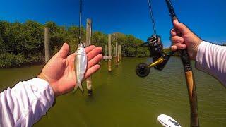 First Time Fishing Live Pilchards from my Gheenoe!!