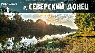 Северский Донец - река которая даёт рыбу.  Рыбалка со спиннингом в черте города Лисичанск.