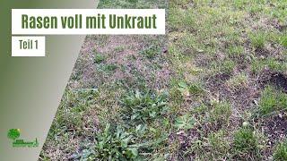 Rasen voll mit Unkraut | Teil 1: Unkraut entfernen und Rasen nachsäen | Vertikutieren | Düngen