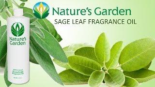 Sage Leaf Fragrance Oil- Natures Garden