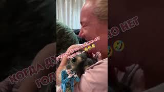 Просто комментарии | 189 |        #смешное_видео #смешноевидео #ржака #юмор #смех #смешноевидио
