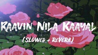 Ravin nila kayal | K S Chitra | slowed reverb | lyrics video
