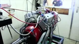 408 cid Ford Cleveland Crate Motor Dyno   Speedmaster™ by Sydney Speed Supplies