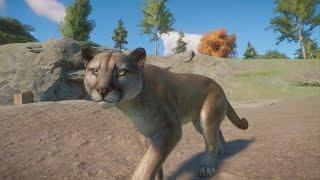 Planet Zoo North America Animal Pack: Cougar