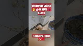 FILIPINA NEPALI COUPLE/OUR FLOWER GARDEN IN NEPAL   PART 3