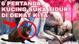 JIKA TAU INI SEMUA PASTI PELIHARA KUCING!!!_INILAH 6 PERTANDA KUCING SUKA TIDUR DI DEKAT KITA