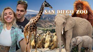 Exploring San Diego ZOO! | FAMILY DAY OUT MEETING WILD ANIMALS