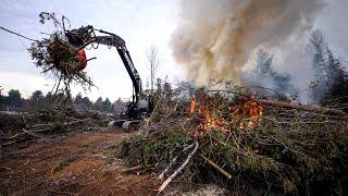 The First Stages of Building a Subdivision (Land Clearing with Excavator and Skid Steer)