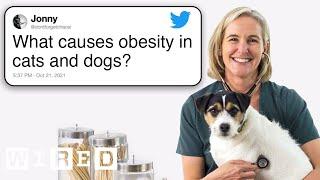 Veterinarian Answers Pet Questions From Twitter | Tech Support | WIRED