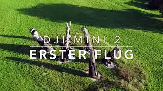 Erster Flug mit der DJI Mini 2 Drohne - ohne Flugerfahrung | Katastrophe?