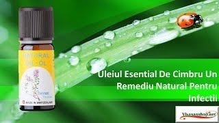 Uleiul Esential De Cimbru Un Remediu Natural Pentru Infectii Vivasan/ Vivasan Romania