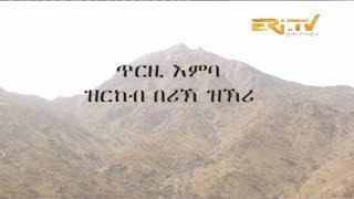 ERi-TV, Eritrea - ማህደር - ጥርዚ እምባ ዝርከብ በሪኽ ዝኽሪ