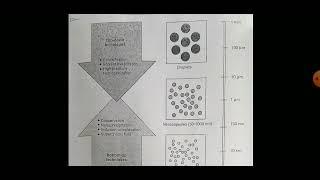 Lecture - 7 Nanotechnology: Definition, Concepts And Techniques | Hindi Explanation | AGRON -311