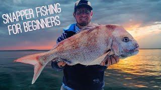 SNAPPER Fishing with SOFT PLASTICS for BEGINNERS