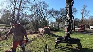 Big saws for big trees