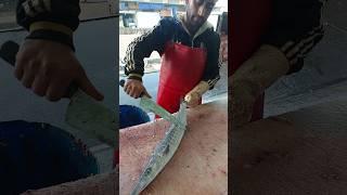 Slicing the fastest sea fish  barracuda