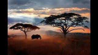 AFRICAN BEATS - AFRICAN MUSIC MIX - SOUND TRACK - 29