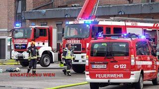 GROßBRAND [B4] im Gewerbepark Traiskirchen in Niederösterreich