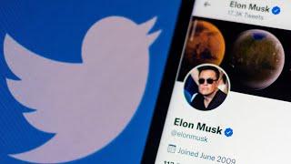 Elon Musk claims Twitter deal is 'on hold'