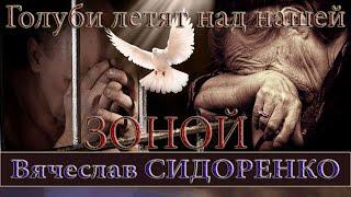 ГОЛУБИ ЛЕТЯТ НАД НАШЕЙ ЗОНОЙ - Вячеслав СИДОРЕНКО ️ ЧЁТКАЯ ПЕСНЯ ВЗОРВАЛА ВСЮ ЗОНУ!️️️