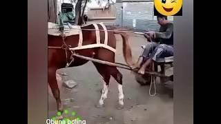 Prikol uzBEK daxshat 