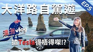 【澳洲・墨爾本】大洋路自駕遊｜揸Tesla去勻12門徒石、阿德湖峽、倫敦拱橋｜Melbourne 墨爾本篇 EP5｜卡菲 Cathy