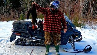 Broken Snowmobile Skis, Fisher, Marten, Weasels