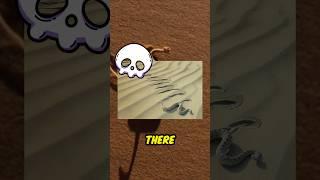 This Sign Could Save Your Life in the Desert! Beware of the Sidewinder Snake! #shortvideo #trending