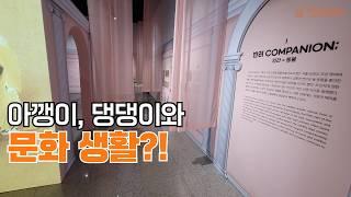 박물관 최초! 반려동물과 즐기는 특별한 전시